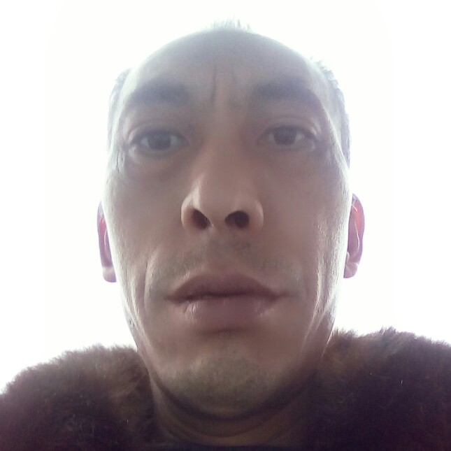 失去的岁月的照片