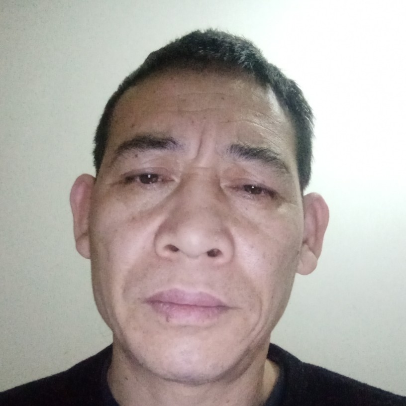 树叶泪了迅速的照片