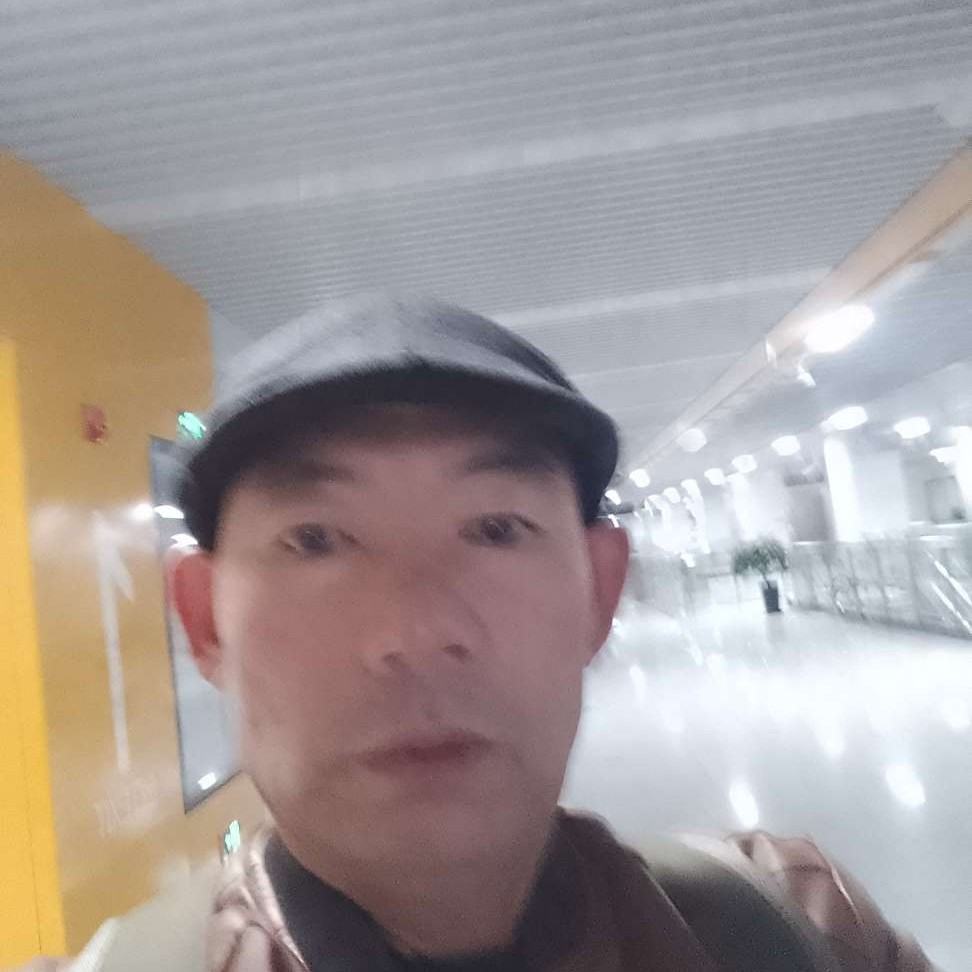 单薄打翅膀的照片
