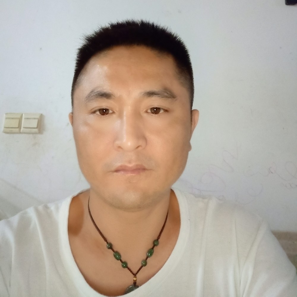 鸵鸟凝眸迷茫的照片