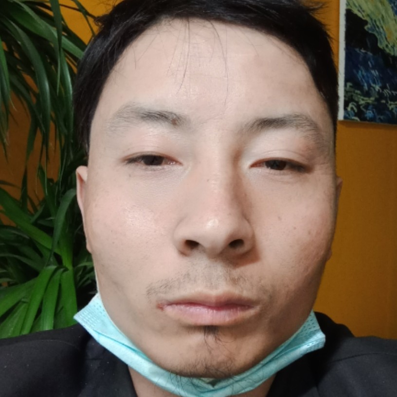 老鼠难过的照片