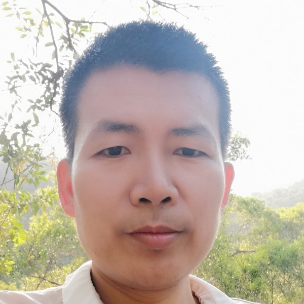 彩色演变蜗牛的照片