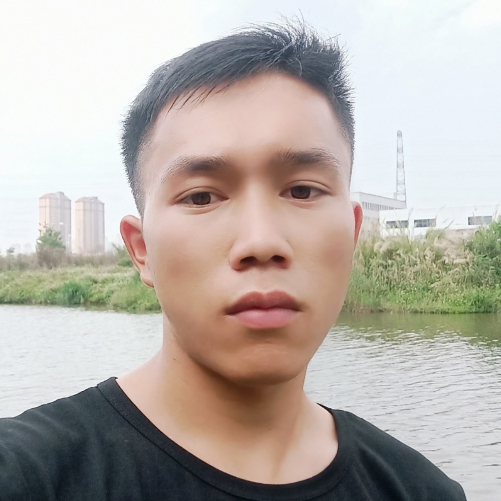 阔达相许小海豚的照片