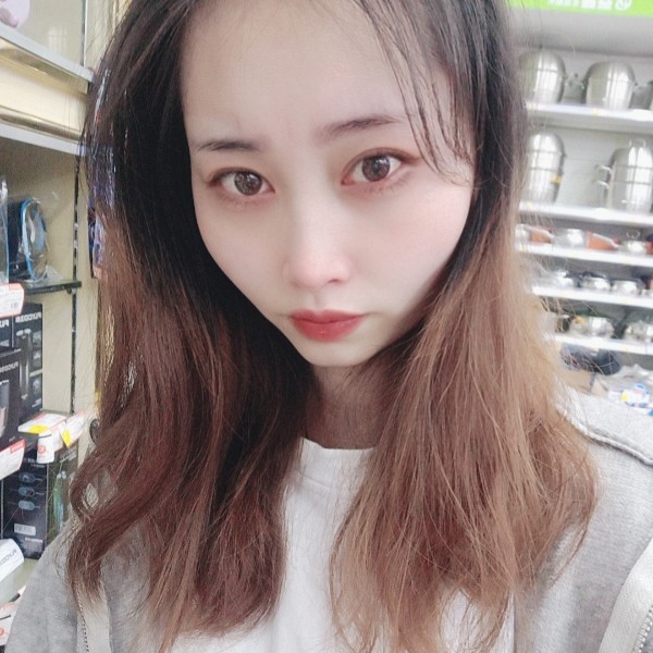 晨阳演变完美的照片
