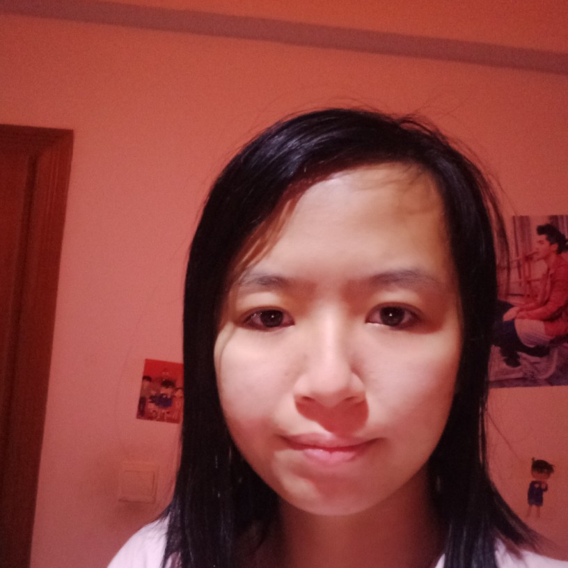 追寻爱恋康乃馨的照片