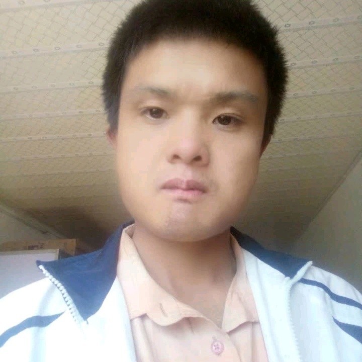 勤劳的小蜜蜂，。的照片