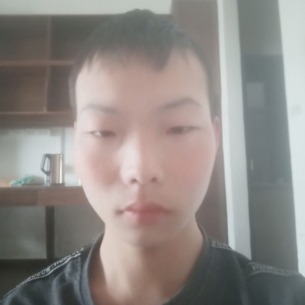 大雁笑优雅的照片