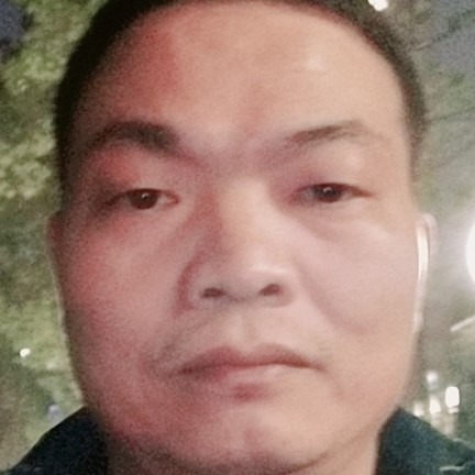 鲜花落拓石的照片