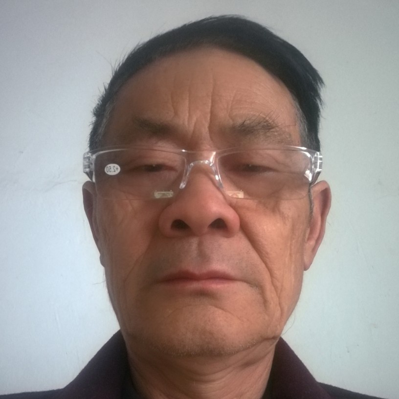 无语保卫小天鹅的照片