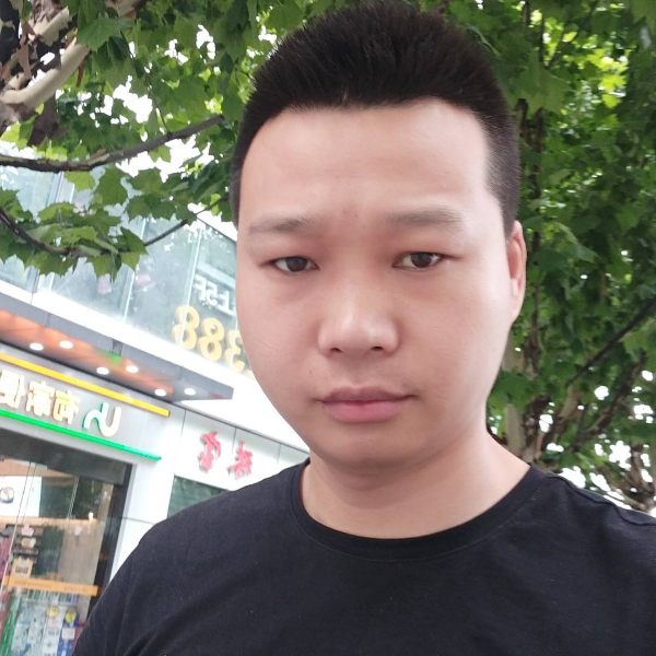 砖头高贵的照片