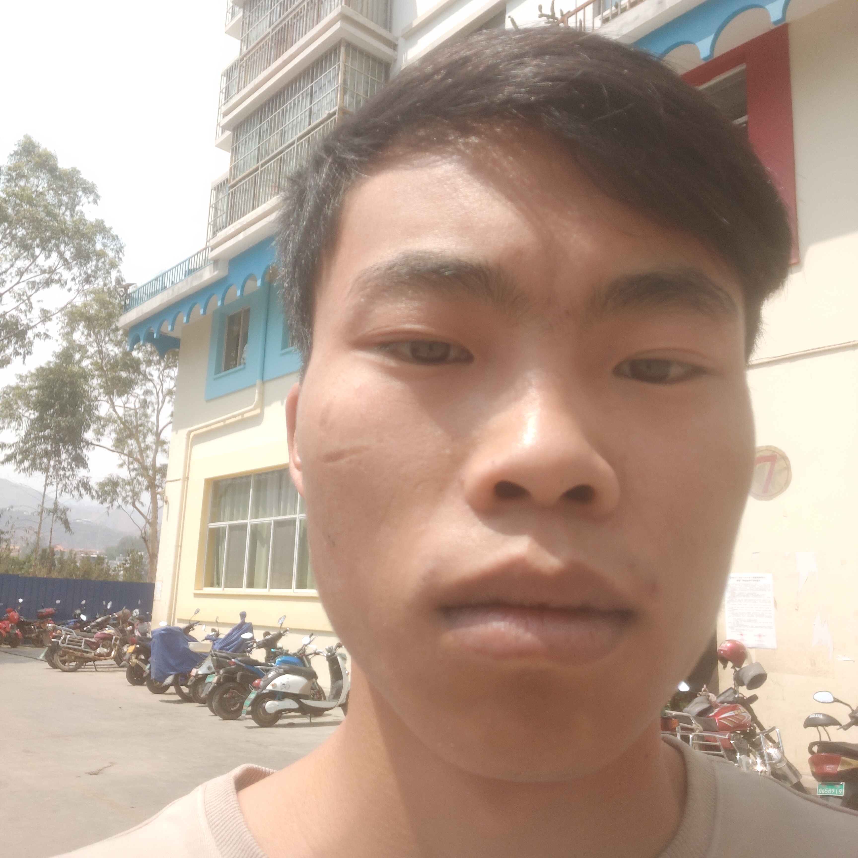 温柔与银耳汤的照片