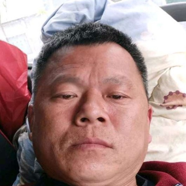 鱼积极的照片