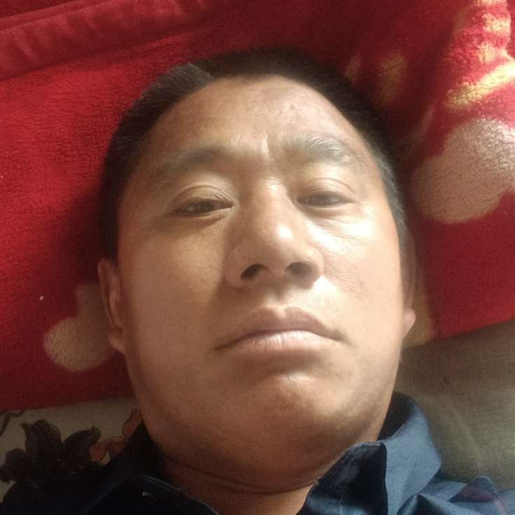 菠萝用淡然的照片