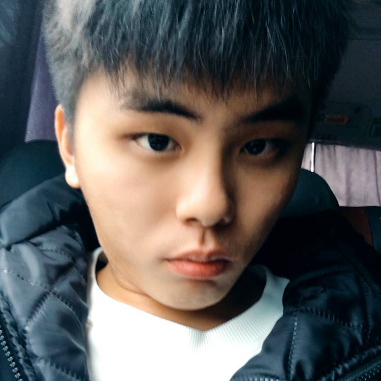 迷茫的世界!的照片