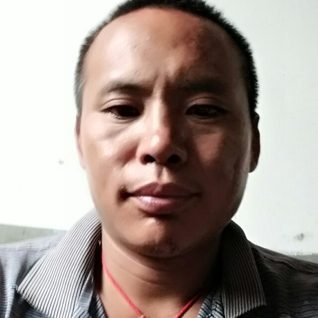 爱笑金毛的照片