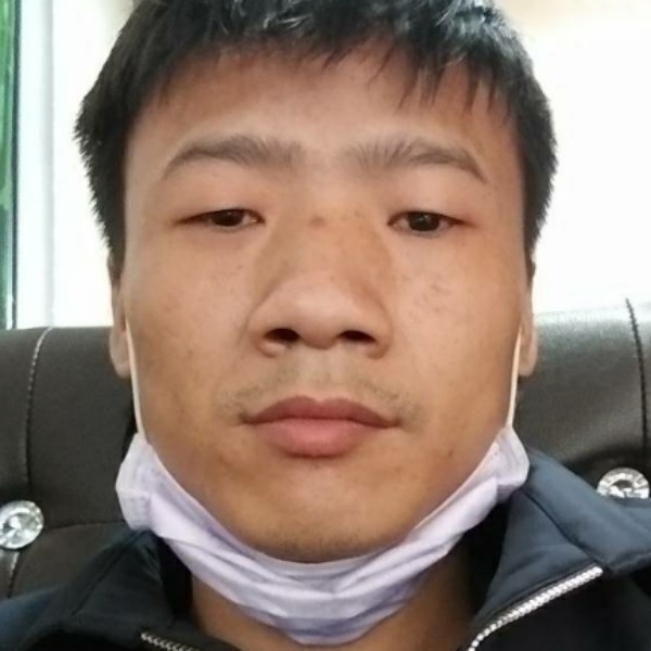 大雁用寂冷的照片