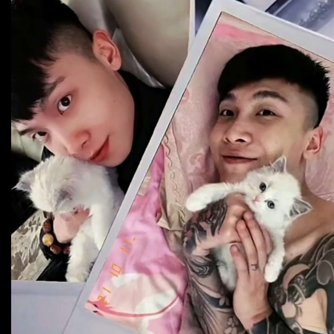 就叫小磊的照片