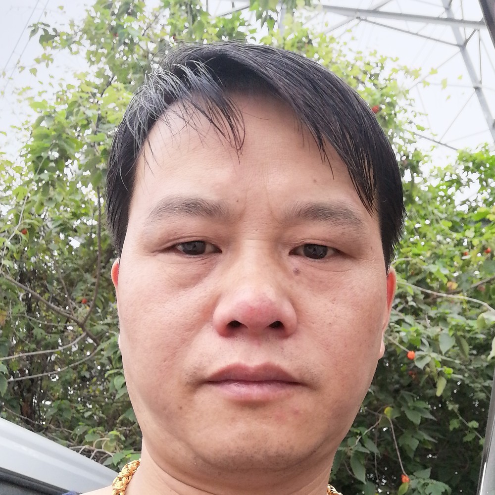 身影疯狂的照片
