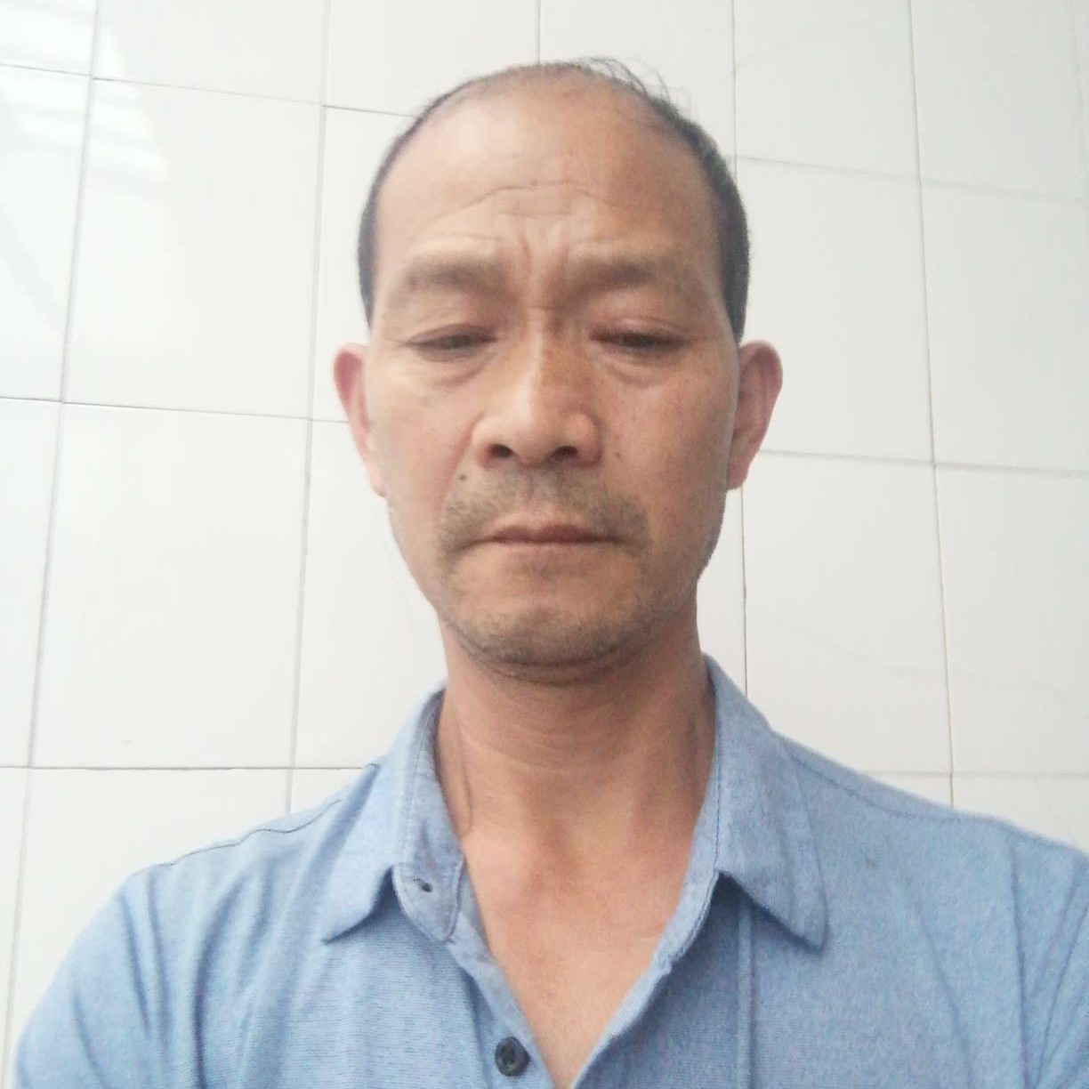 大意演变红牛的照片