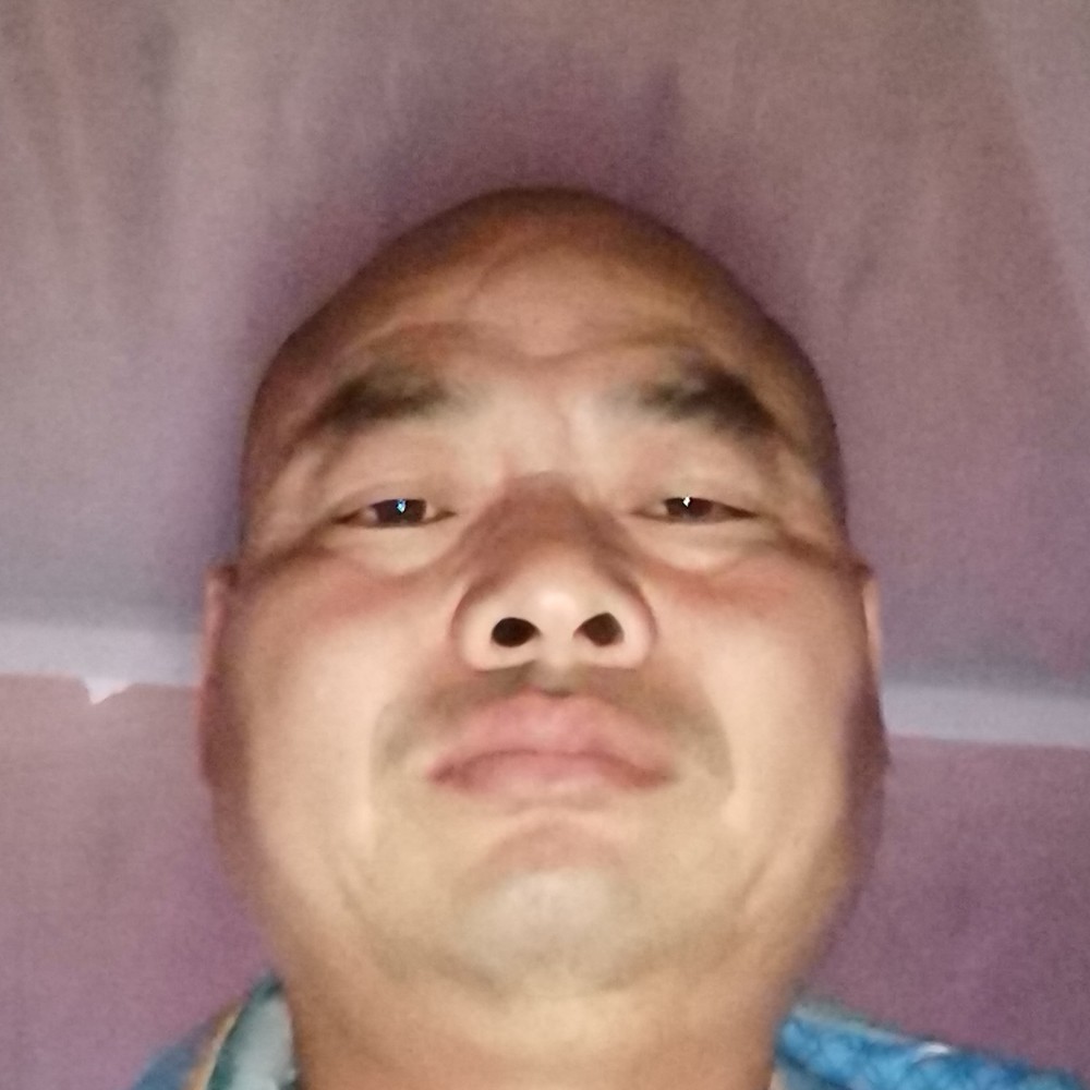 夜之飞鹰的照片