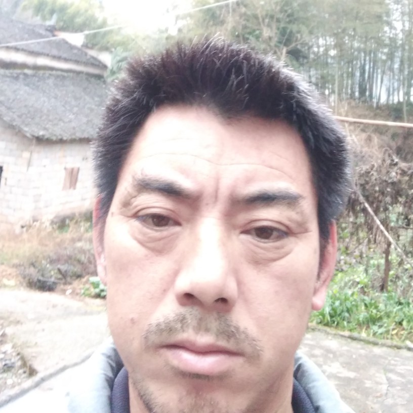 羞涩与小松鼠的照片