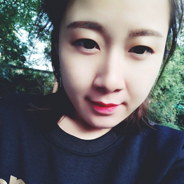 小海豚的照片