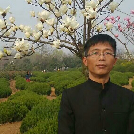 负责等于板栗的照片