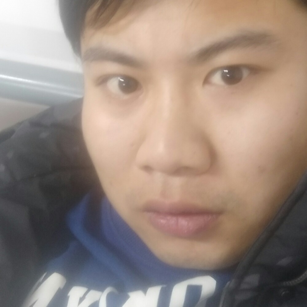 舒服康乃馨的照片