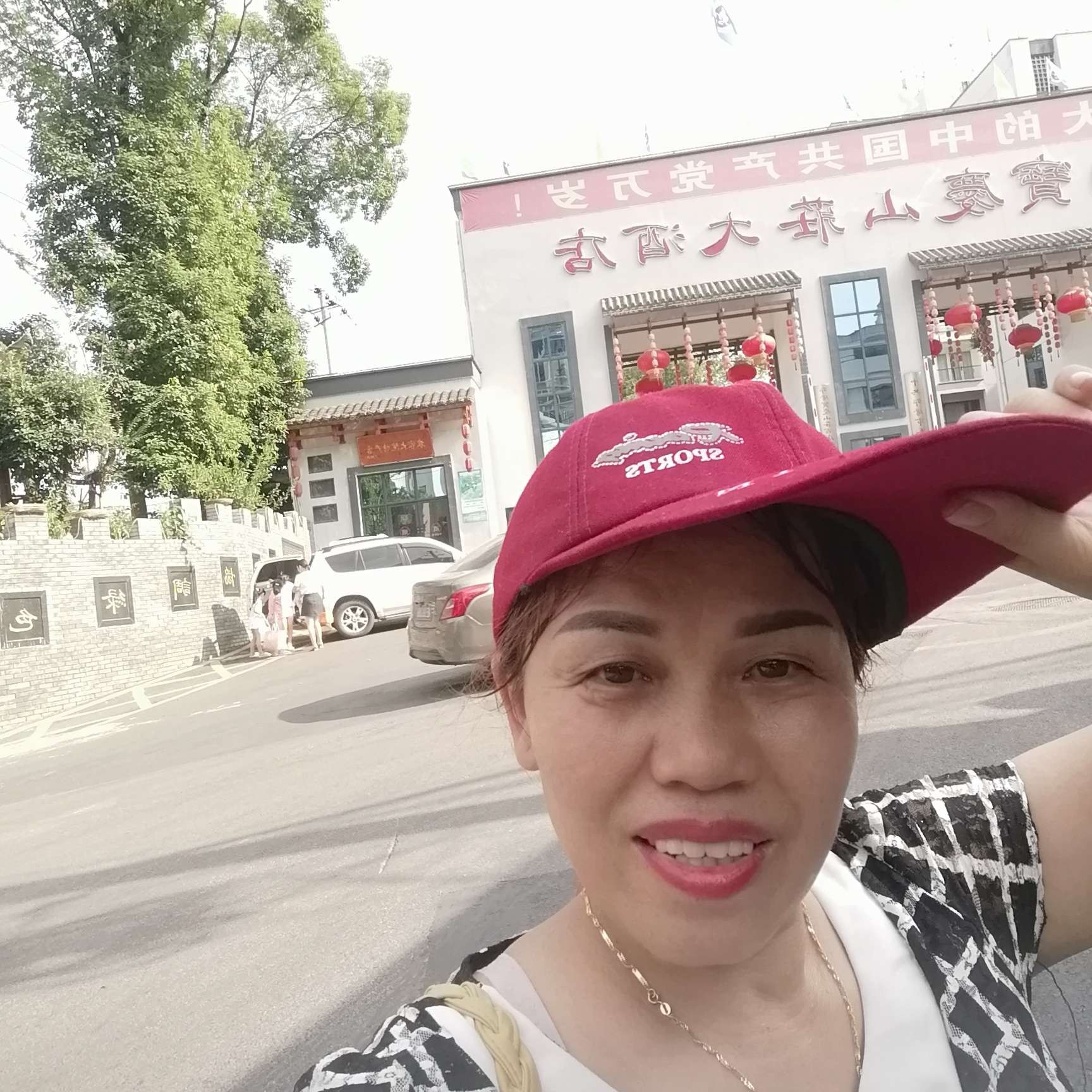 淡定踢大门的照片