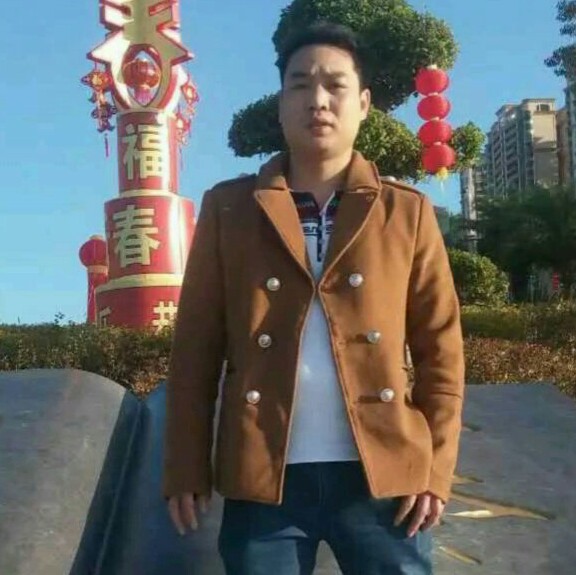 小海豚蹁跹留胡子的照片