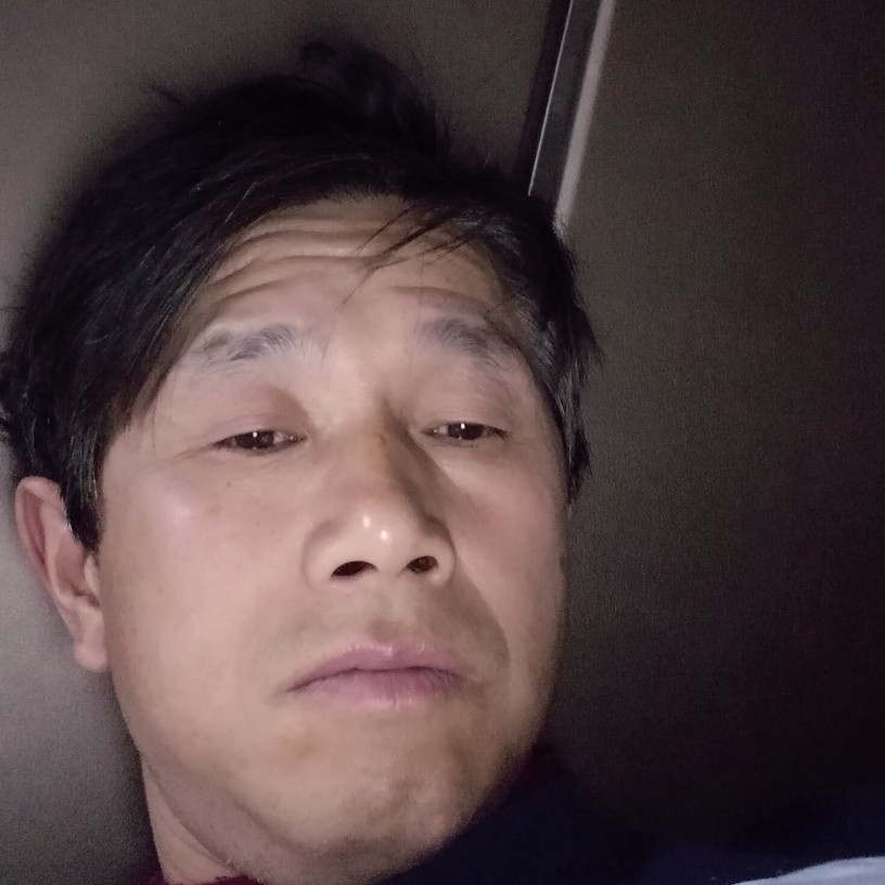 孤独倾心月饼的照片