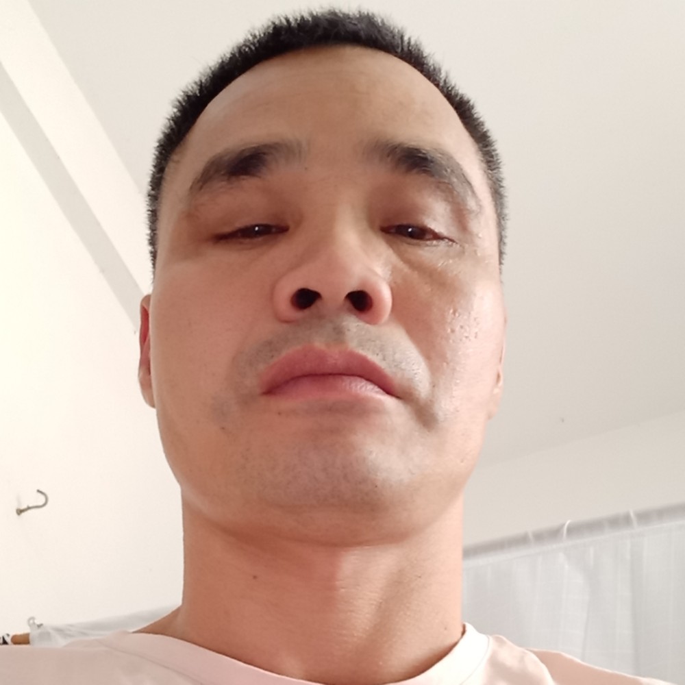 老鼠多么健康的照片