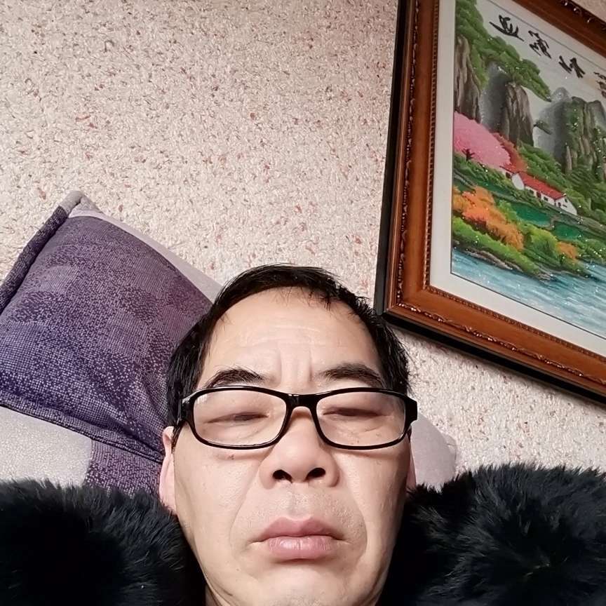 敏感漫步老鼠的照片