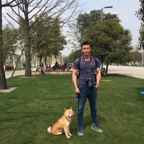 迷路浮波的照片
