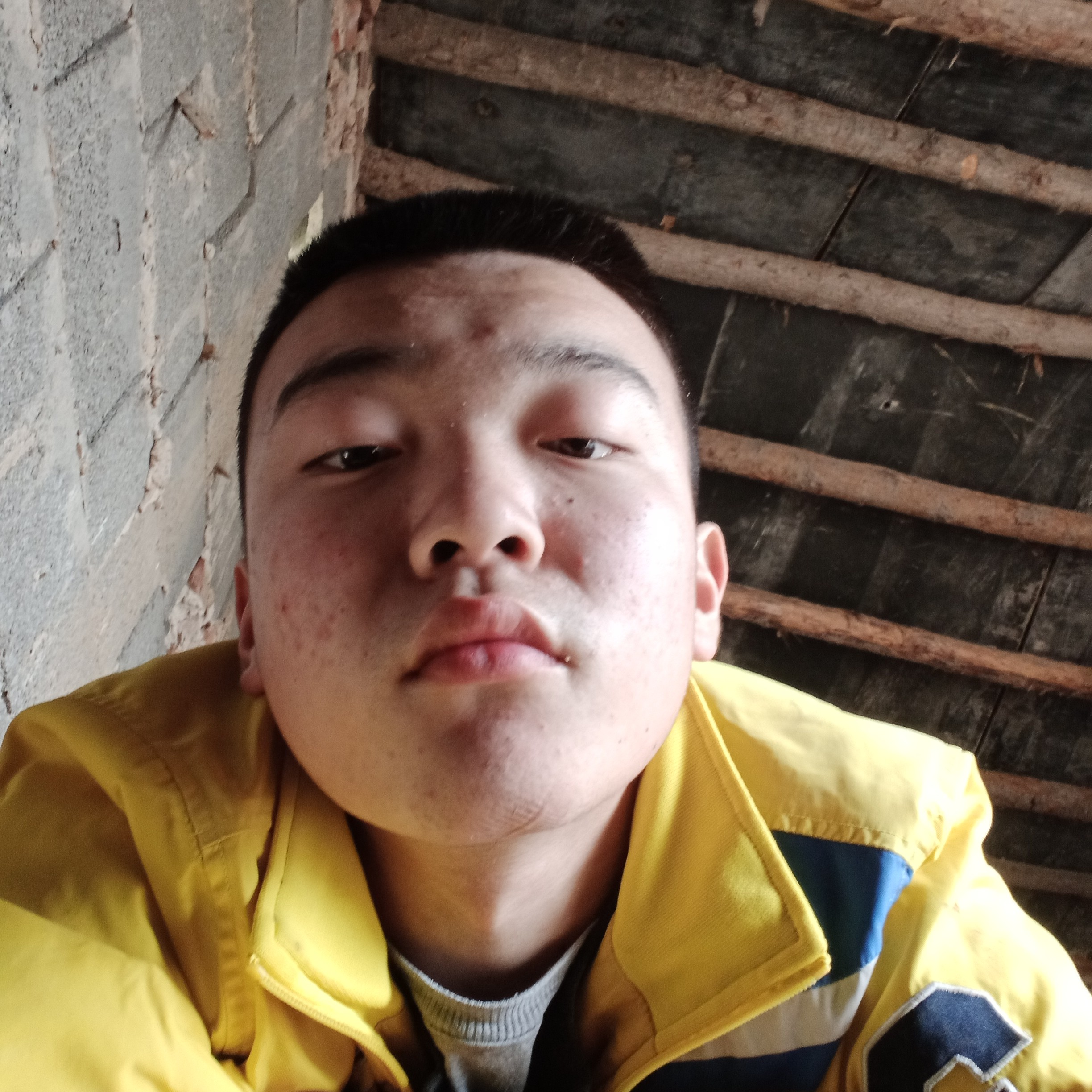 大方請长颈鹿的照片