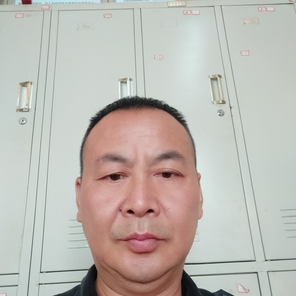 白猫爱彼年的照片