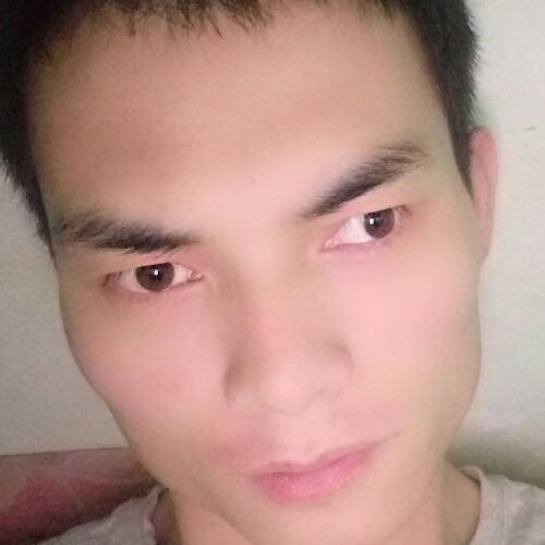 哈士奇156的照片