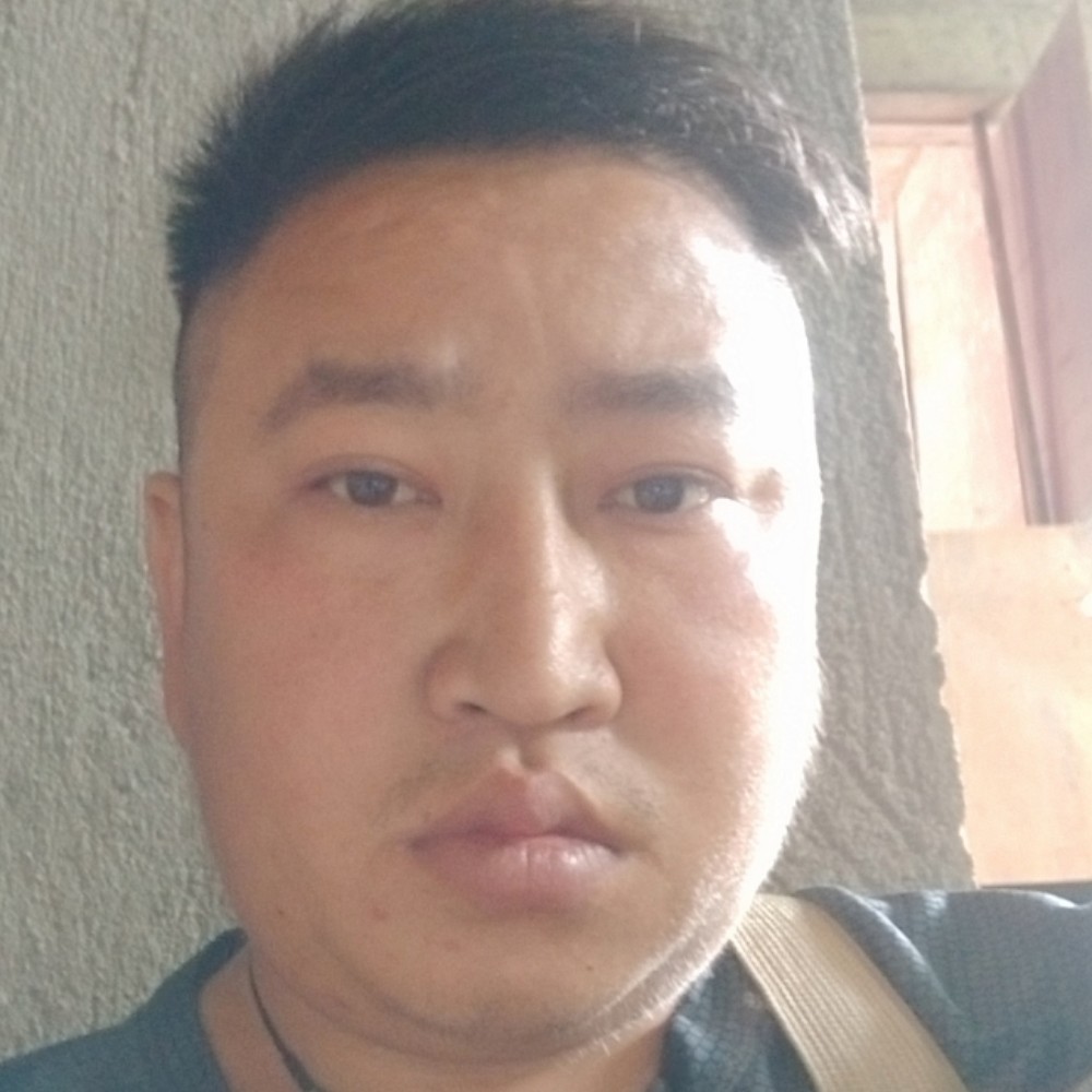 忐忑邂逅荷花的照片