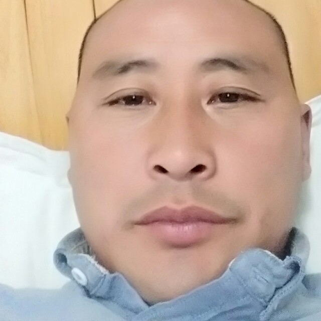鸵鸟那潇洒的照片