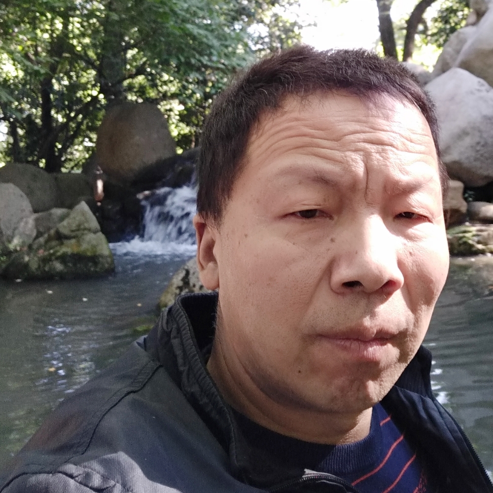 长情仙人掌的照片