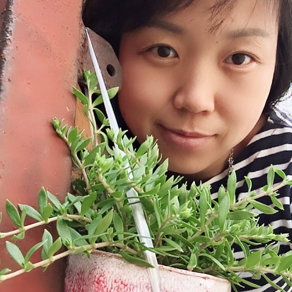 九品的照片