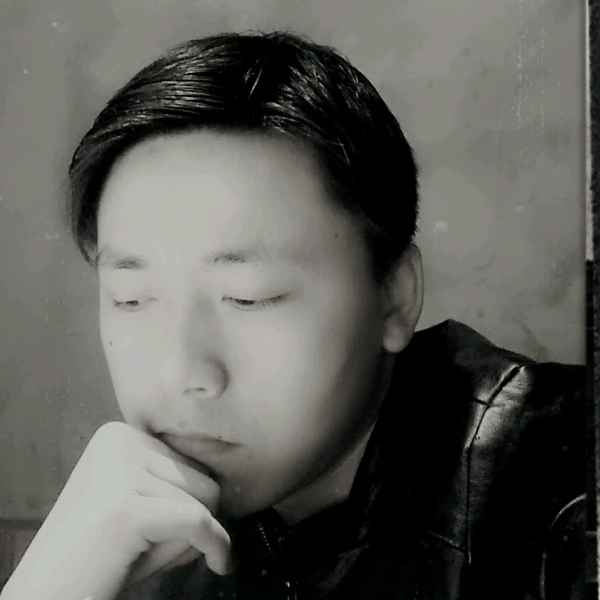 妩媚树叶的照片