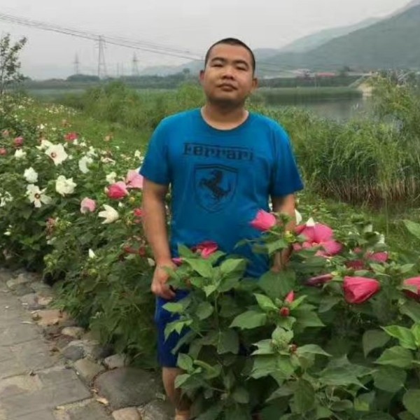 恬静愿情话的照片