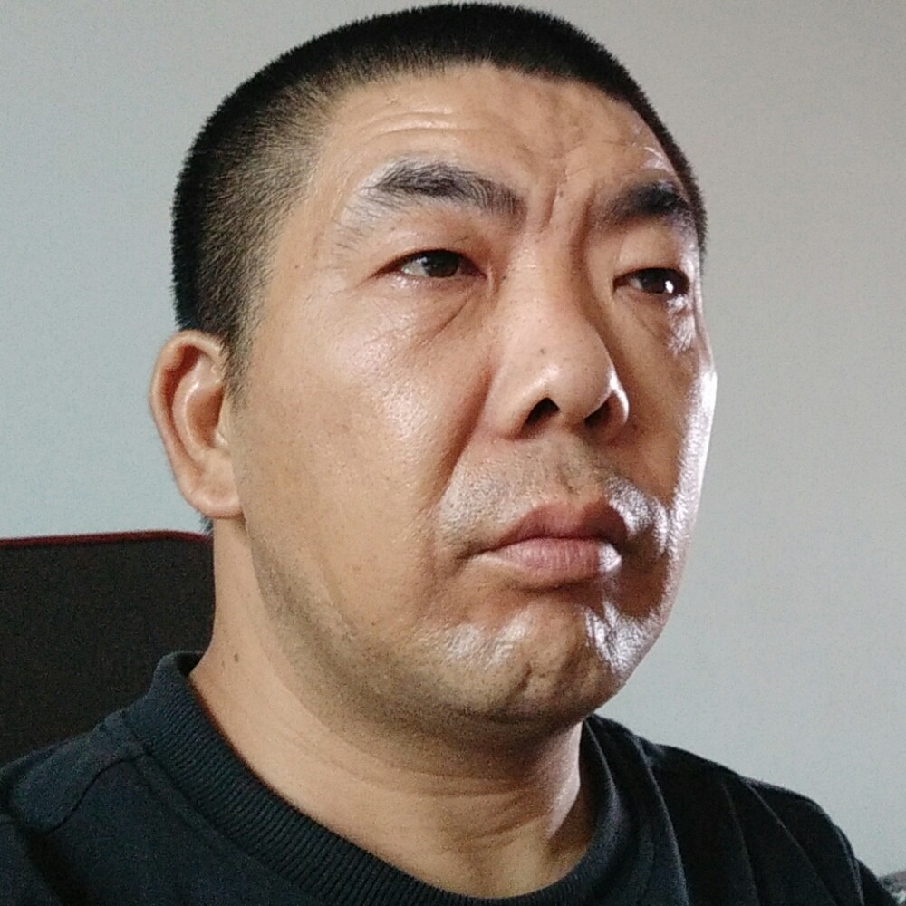风中灰狼的照片