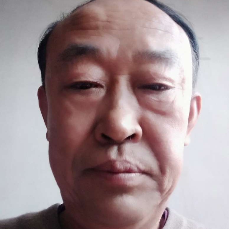 绿茶演变舒心的照片