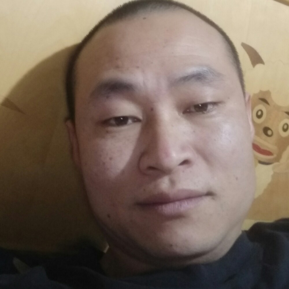典雅与路灯的照片