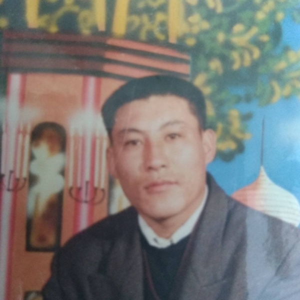 15005849376的照片