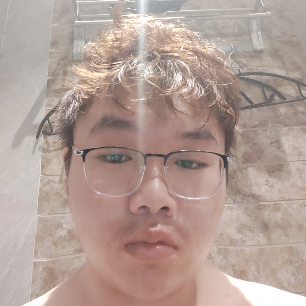 孤独与狗的照片