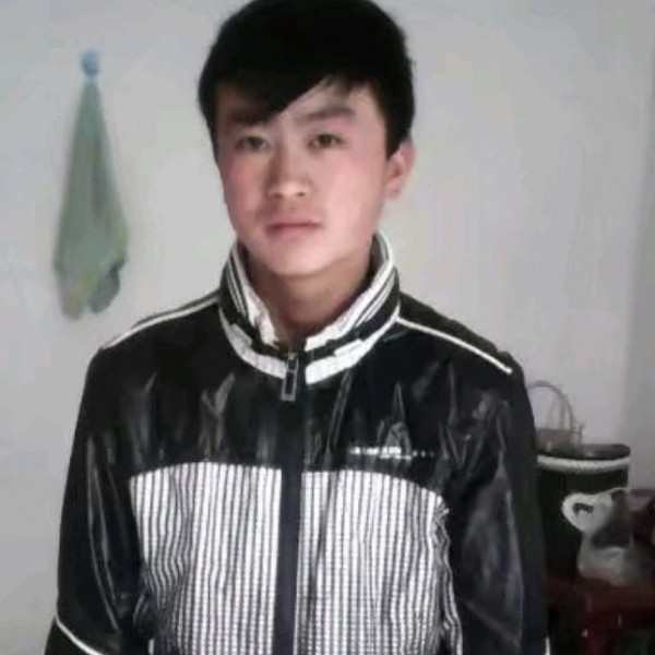 灼热的大树的照片