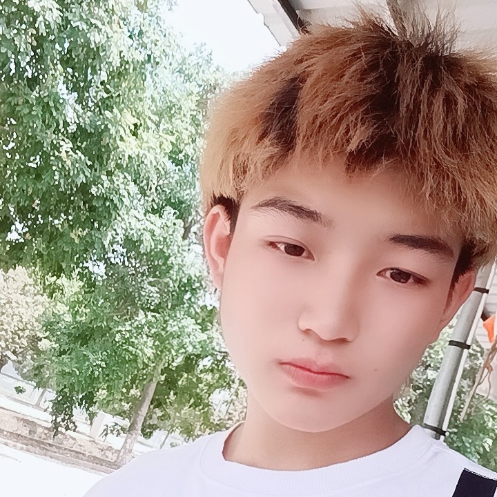 迷离迎夏露的照片